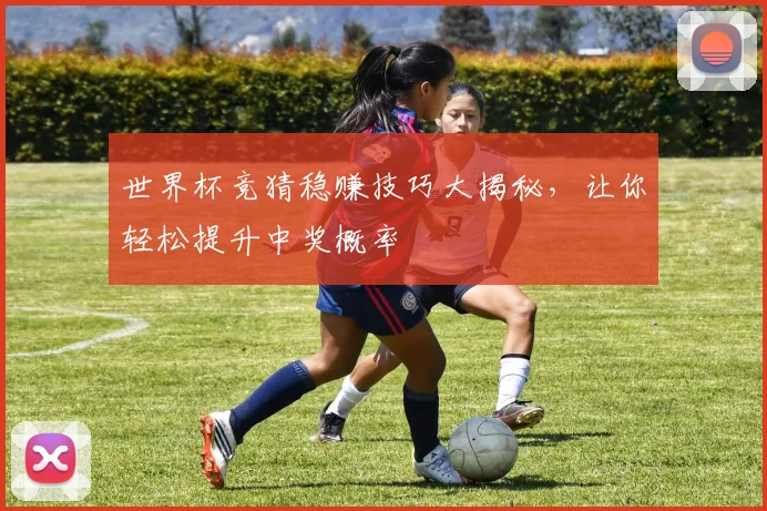 世界杯竞猜稳赚技巧大揭秘，让你轻松提升中奖概率