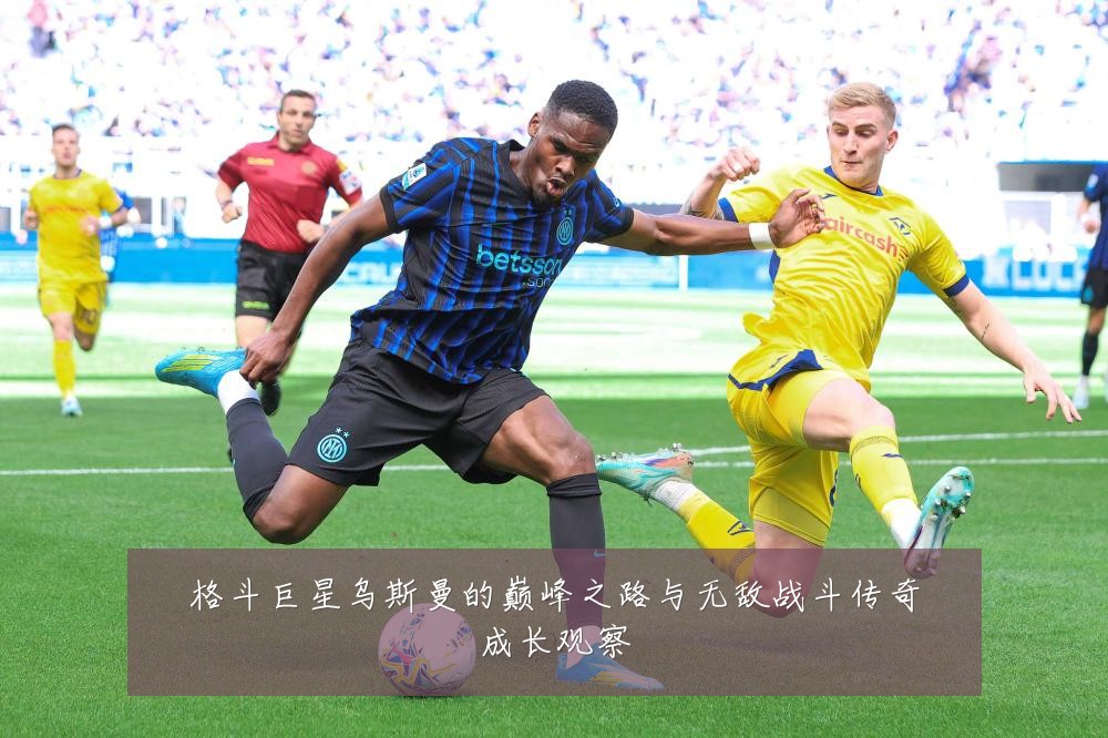 格斗巨星乌斯曼的巅峰之路与无敌战斗传奇成长观察